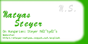 matyas steyer business card